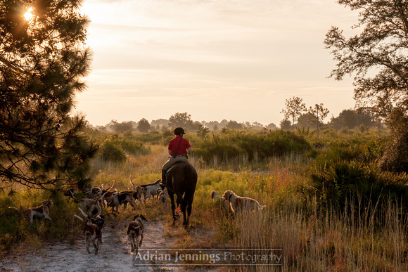 9-24-16 Gilley Creek 002
